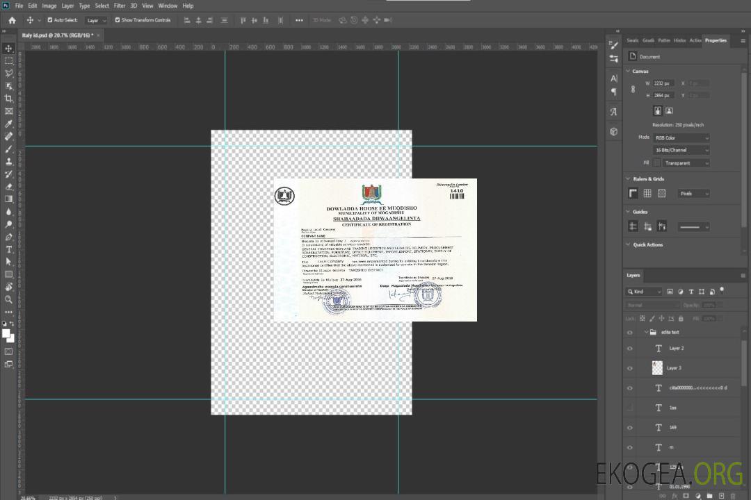 Certificat d'enregistrement somalien template Certificat d'enregistrement somalien template